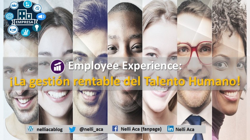 Employee-Experience
